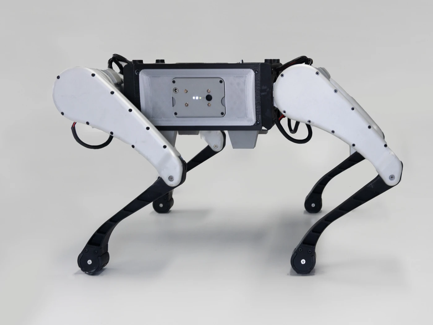 Kinatric D2 compact quadruped product view
